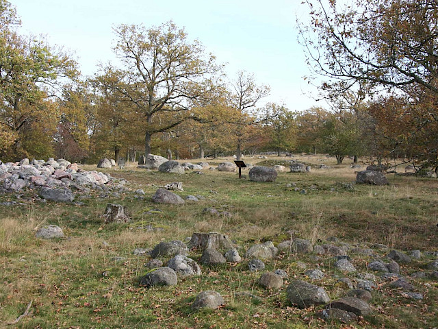 Foto: Stefan Svenaeus 2013