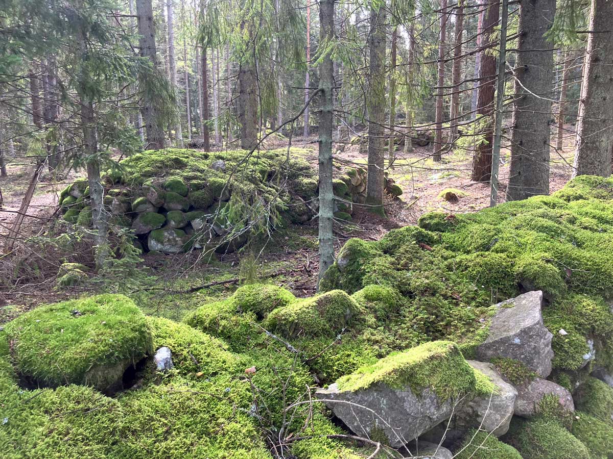 Fossil åker och röjningsrösen Foto: Stefan Svenaeus 2023