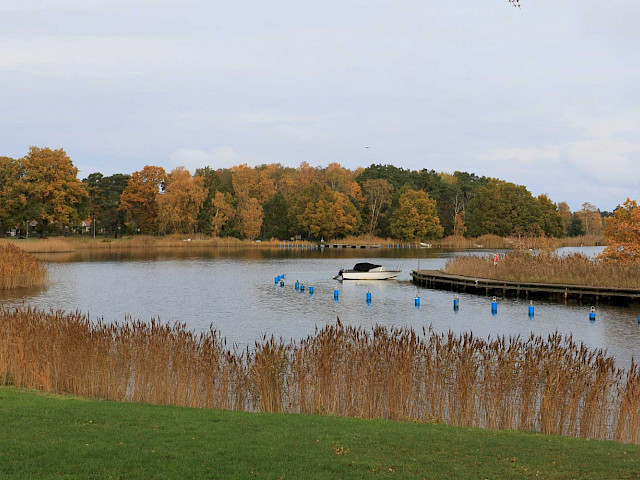 Lindöfjärden från Jutebron. Foto: Stefan Svenaeus 2023