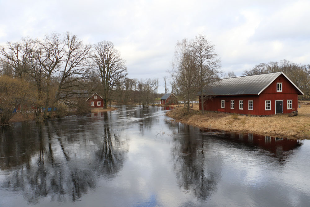 Alsterån Foto: Stefan Svenaeus 2024