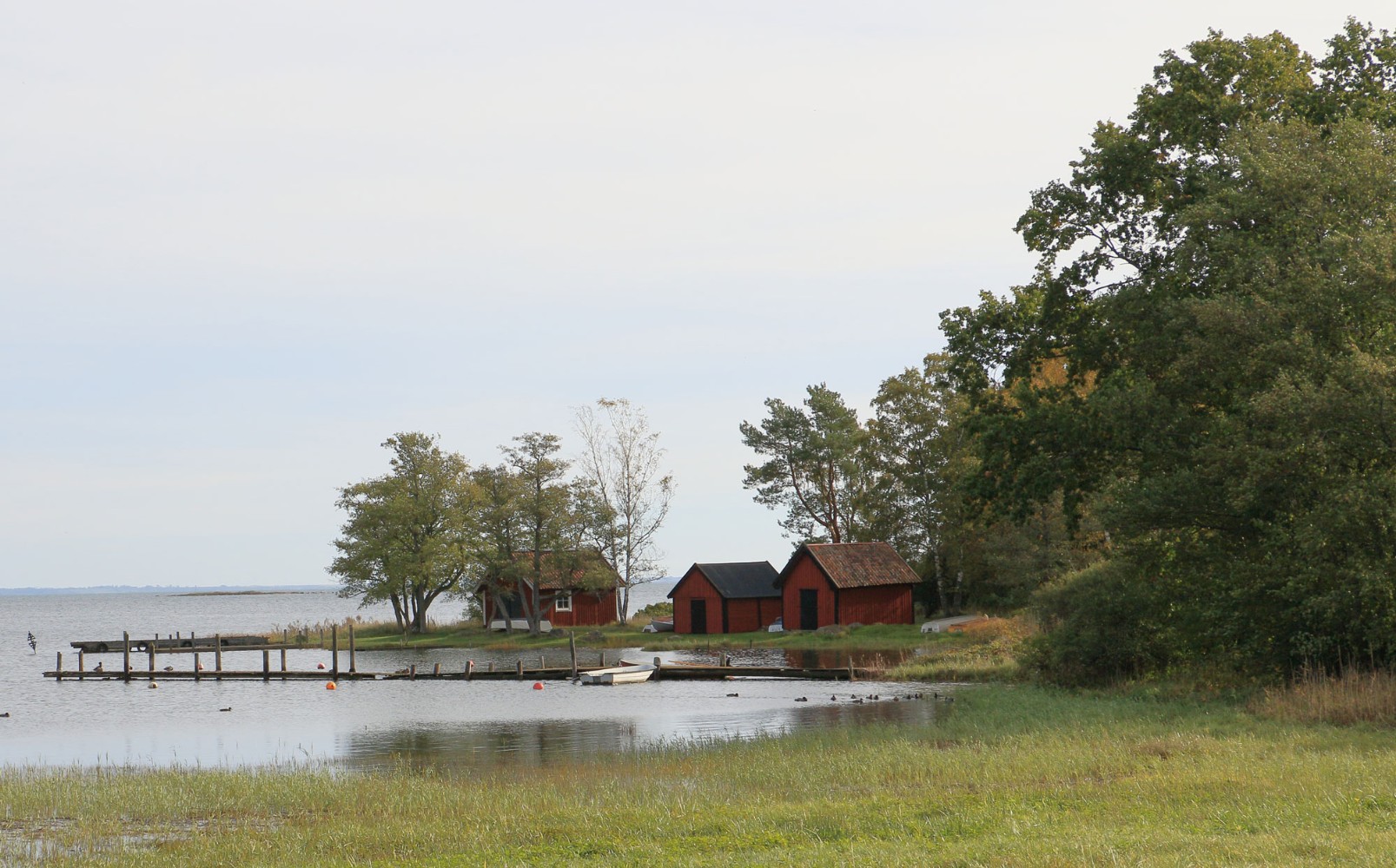 Foto: Stefan Svenaeus 2023