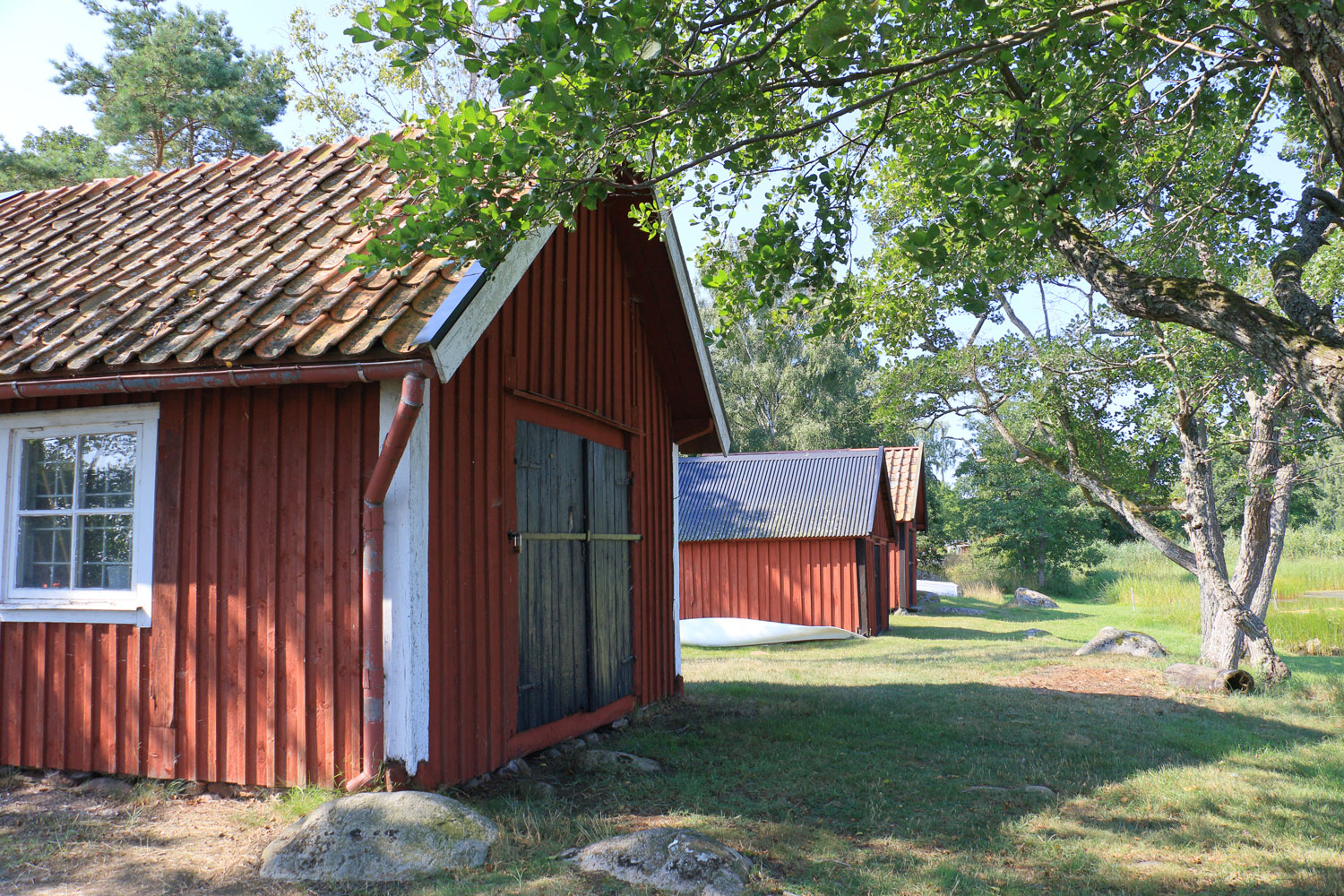 Foto: Stefan Svenaeus 2023