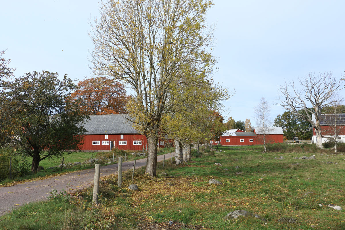 Knöppletorp Foto: Stefan Svenaeus 2025