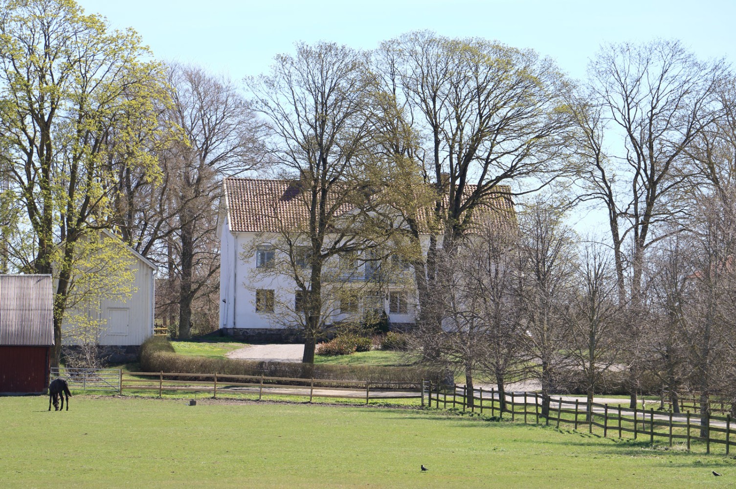 Foto: Stefan Svenaeus 2026